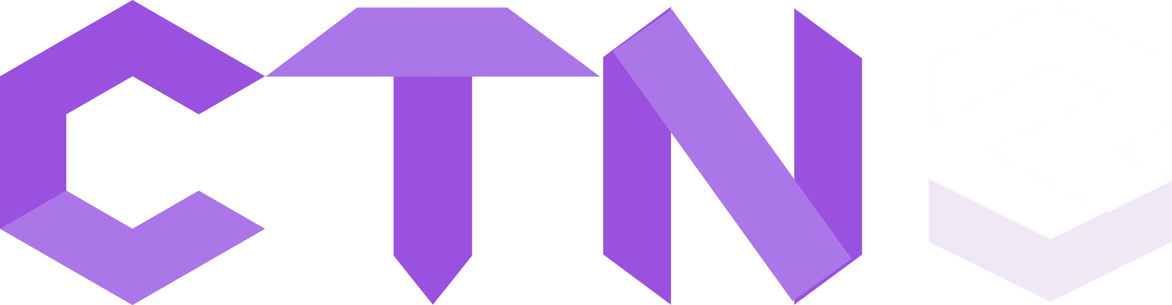 ctn3 logo svg